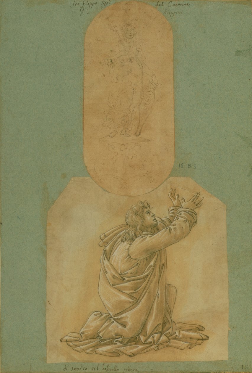 Studium św. Tomasza (rysunek) autorstwa Sandro Botticelli