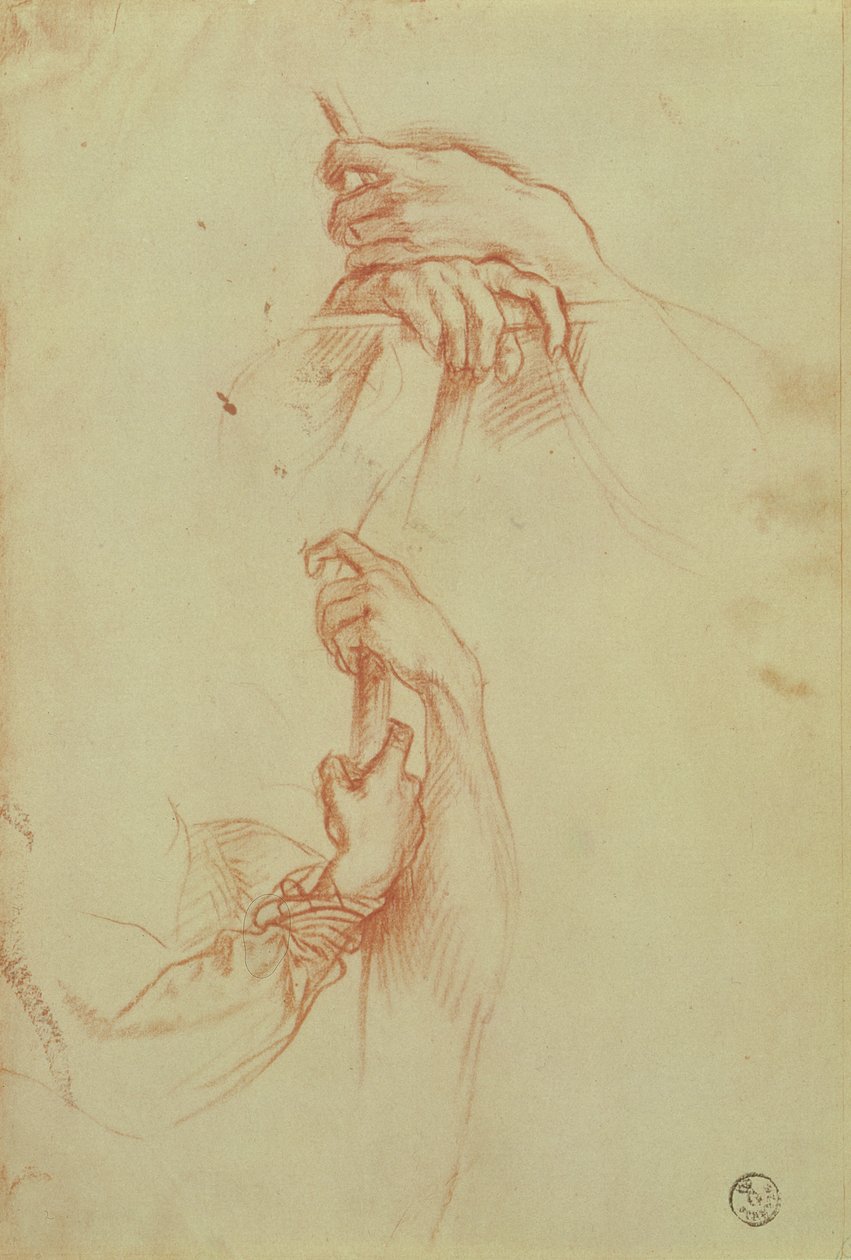 Du jauno vyro rankų poros (raudonos kreidos)poli tyrimai autorstwa Sandro Botticelli