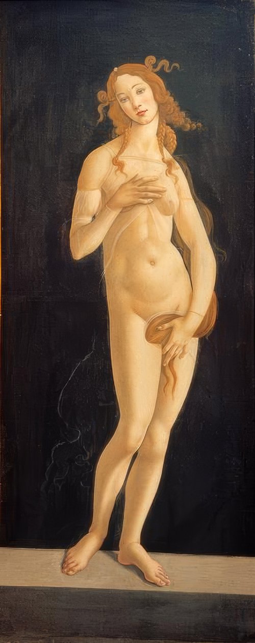 Wenus autorstwa Sandro Botticelli