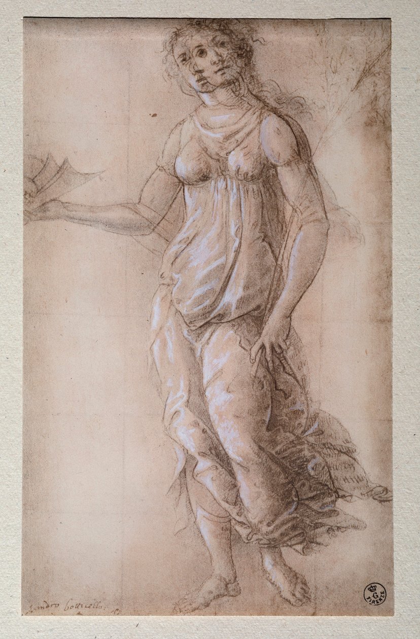Pallas (rysunek, po 1491) autorstwa Sandro Botticelli