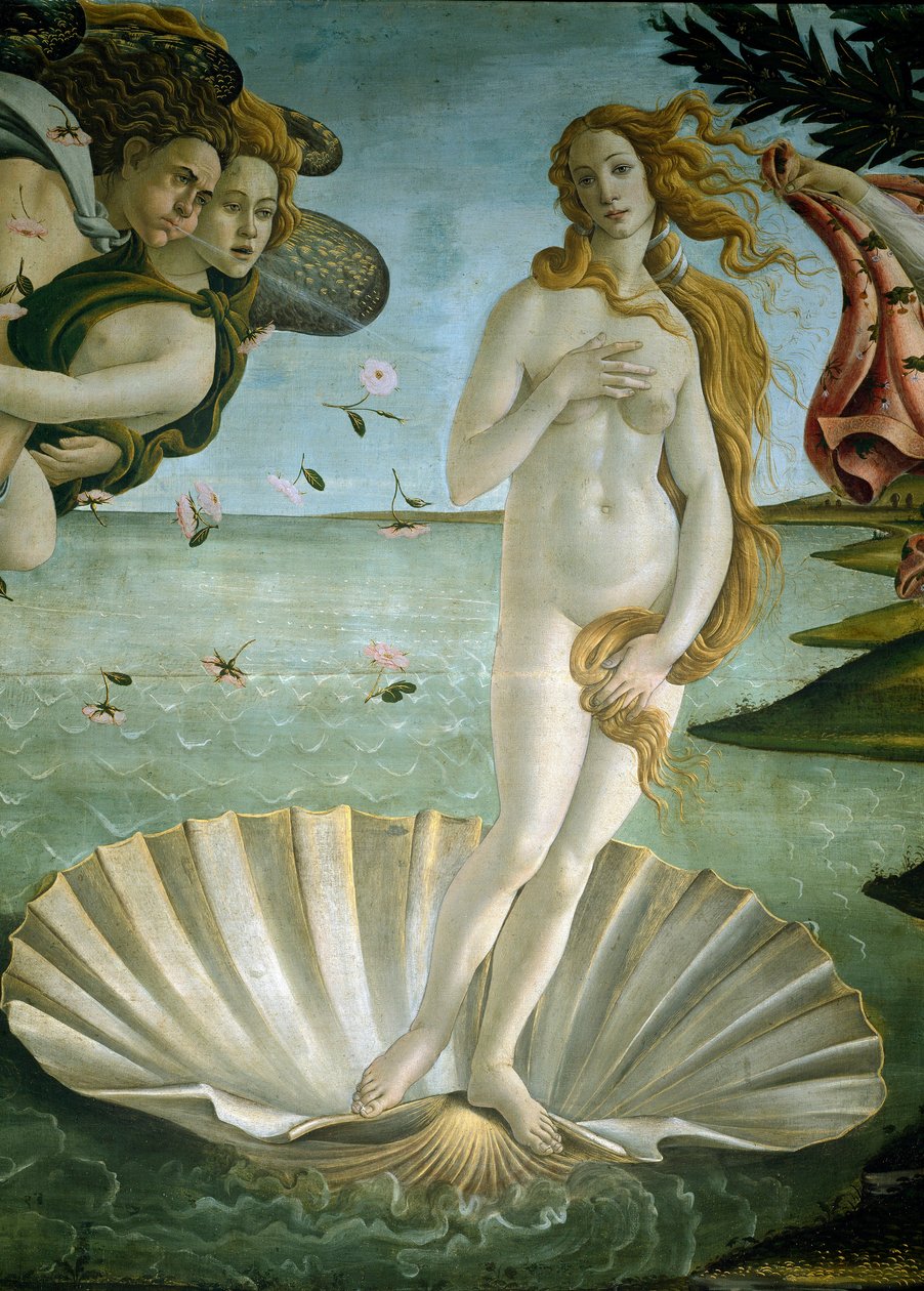 Narodziny Wenus (więcej) autorstwa Sandro Botticelli