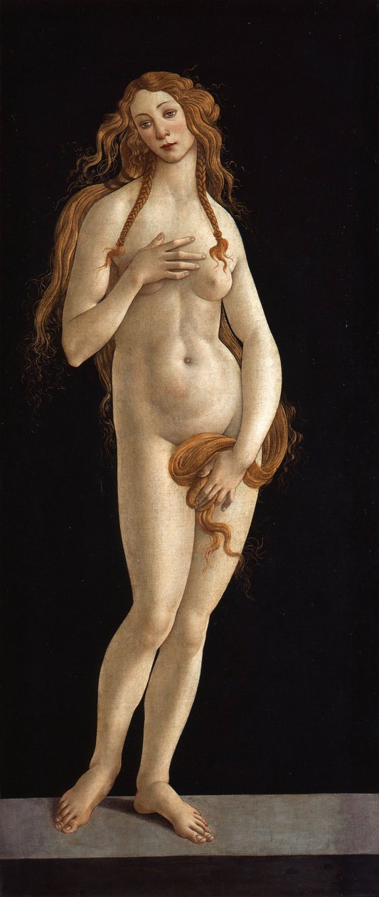 Venus Venus autorstwa Sandro Botticelli