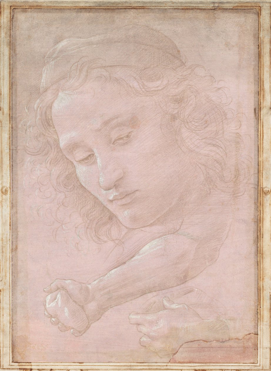 Głowa młodzieńca w czapce; prawe przedramię z dłonią ściskającą kamień; i lewa ręka trzymająca draperię autorstwa Sandro Botticelli