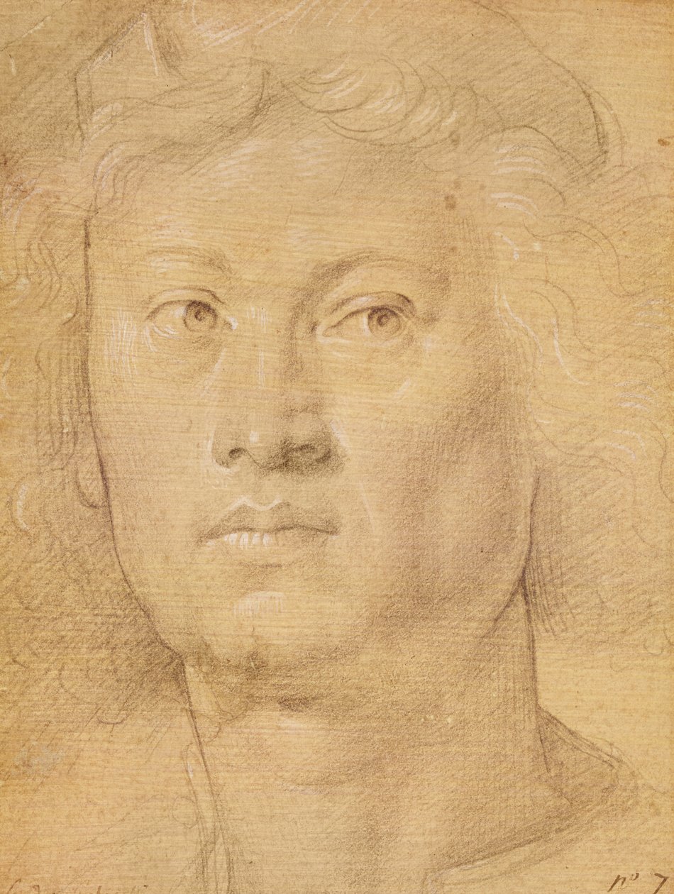 Głowa anioła (ołówek i kredka na papierze) autorstwa Sandro Botticelli