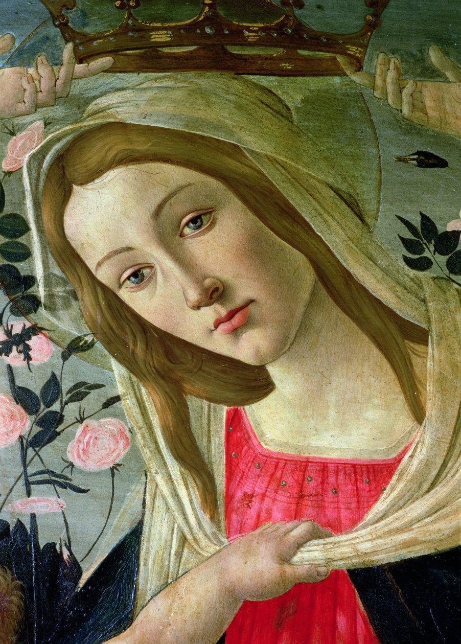 Madonna z Dzieciątkiem w koronie aniołów, fragment oleju Madonna na panelu autorstwa Sandro Botticelli
