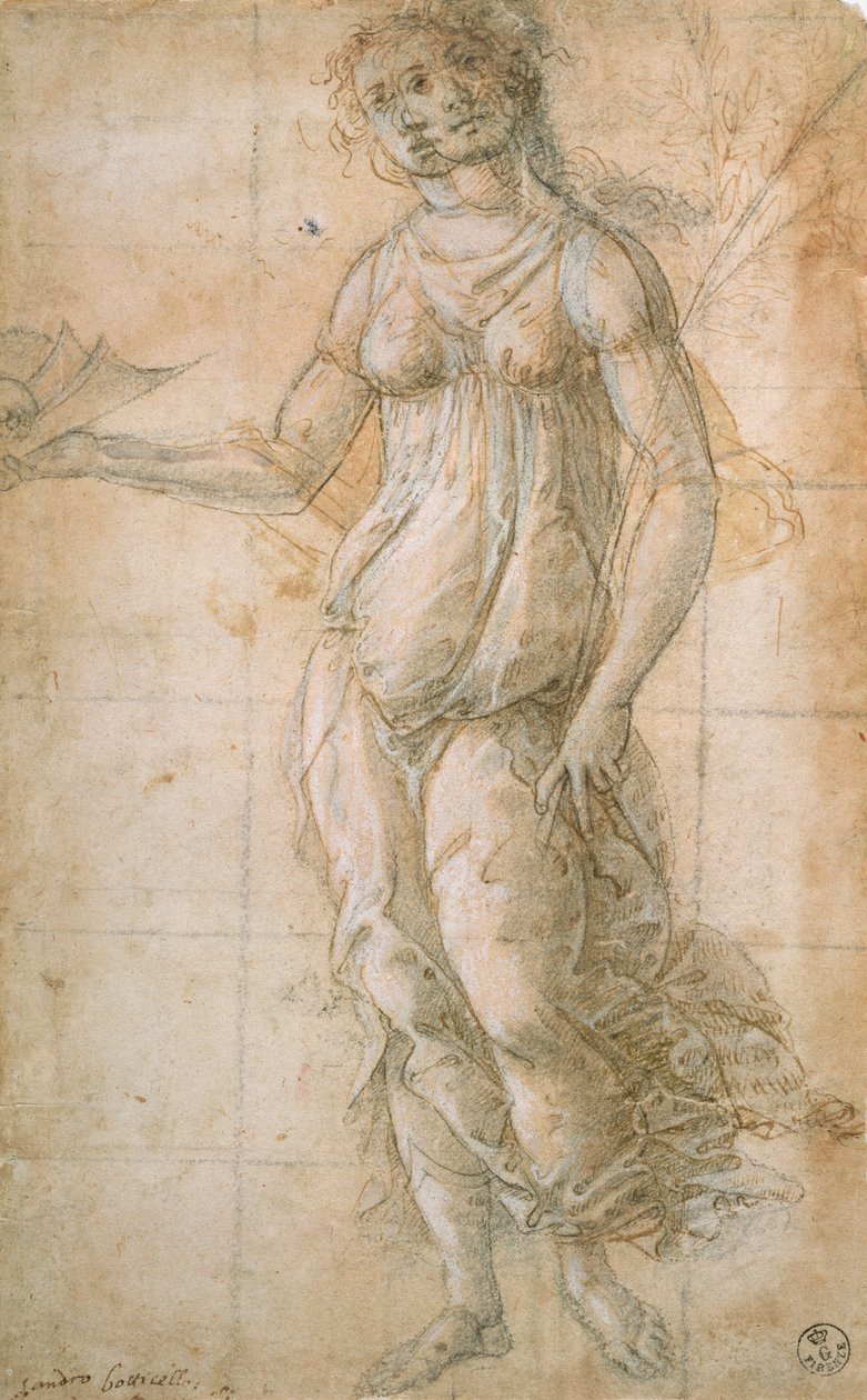Studium Ateny (rysunek) autorstwa Sandro Botticelli
