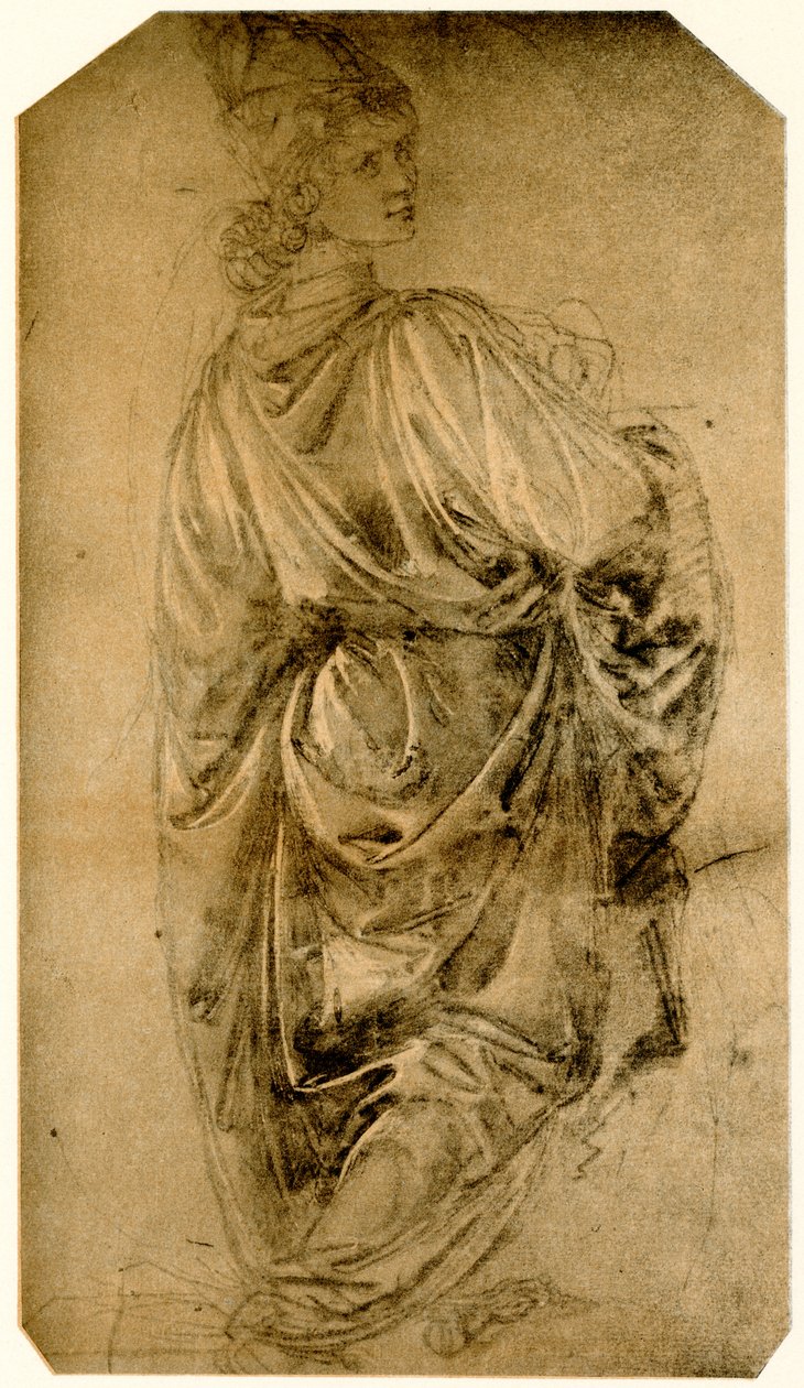 Studium młodego człowieka autorstwa Sandro Botticelli