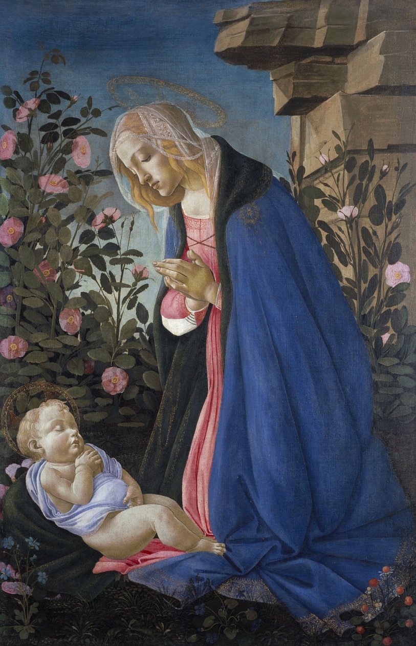 Dziewica adorująca śpiące Dzieciątko autorstwa Sandro Botticelli