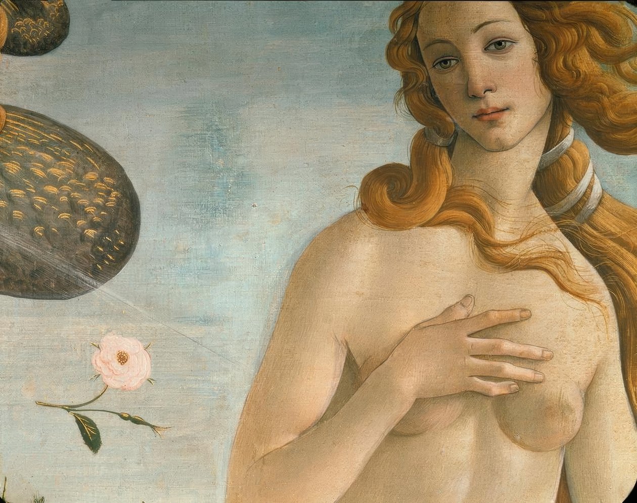 Narodziny Wenus (Venus Anadyomene) autorstwa Sandro Botticelli
