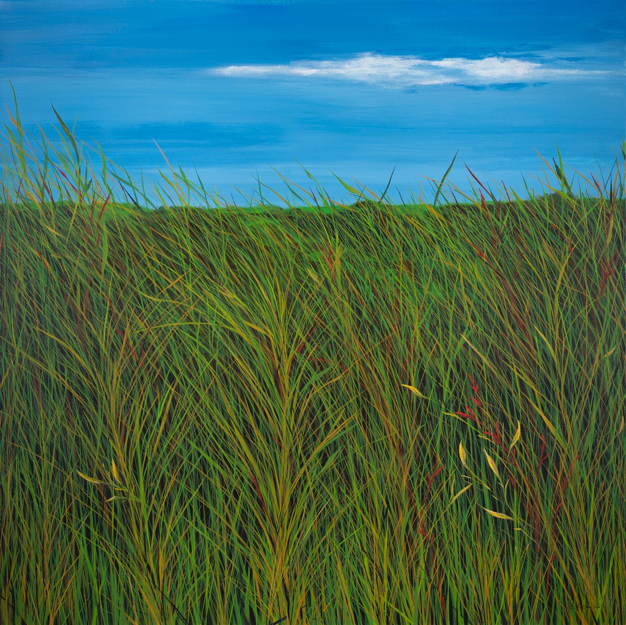  autorstwa Sandy Iseli