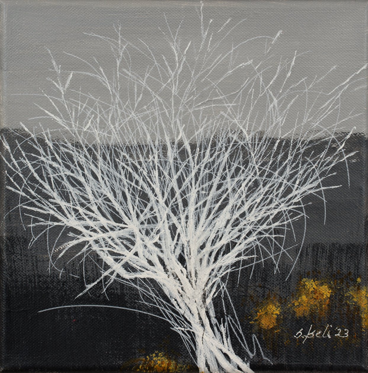  autorstwa Sandy Iseli