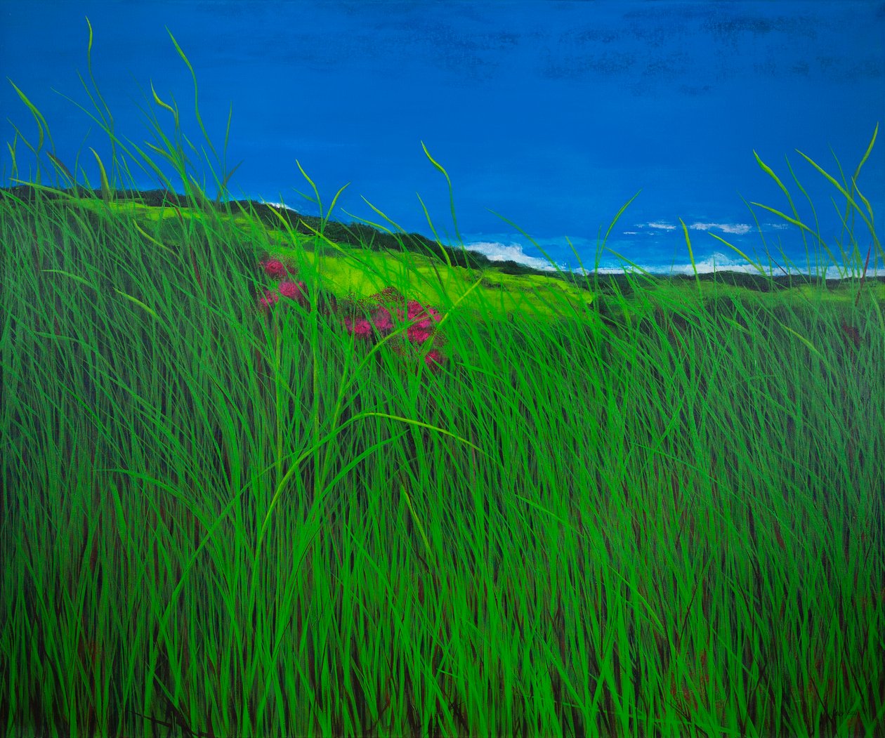  autorstwa Sandy Iseli