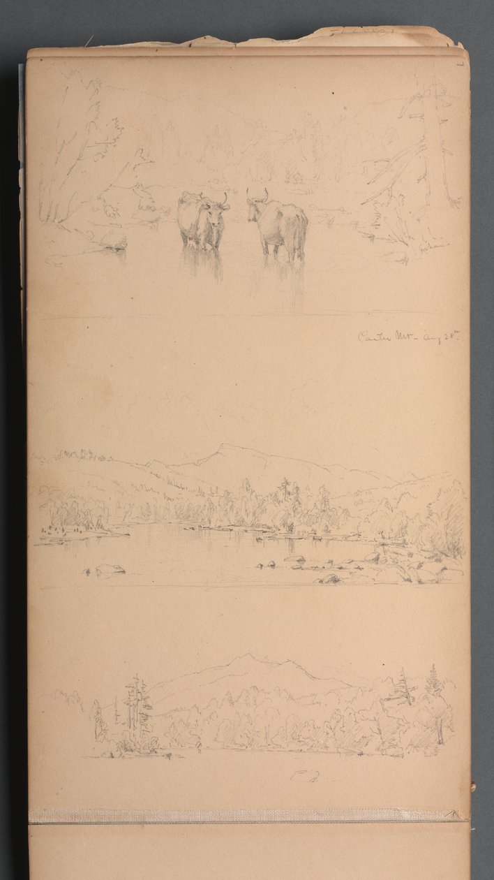 Szkicownik, strona 07: "Carter Mt () 28 sierpnia" autorstwa Sanford Robinson Gifford