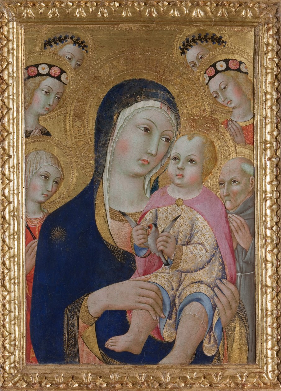 Madonna z Dzieciątkiem, święci Apollonia i Bernardino i cztery anioły, ok. 1460 autorstwa Sano di Pietro