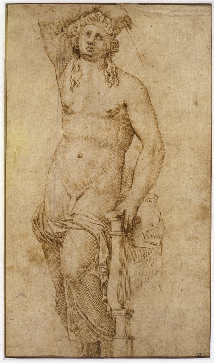 Apollo autorstwa Raffaello Sanzio Raphael