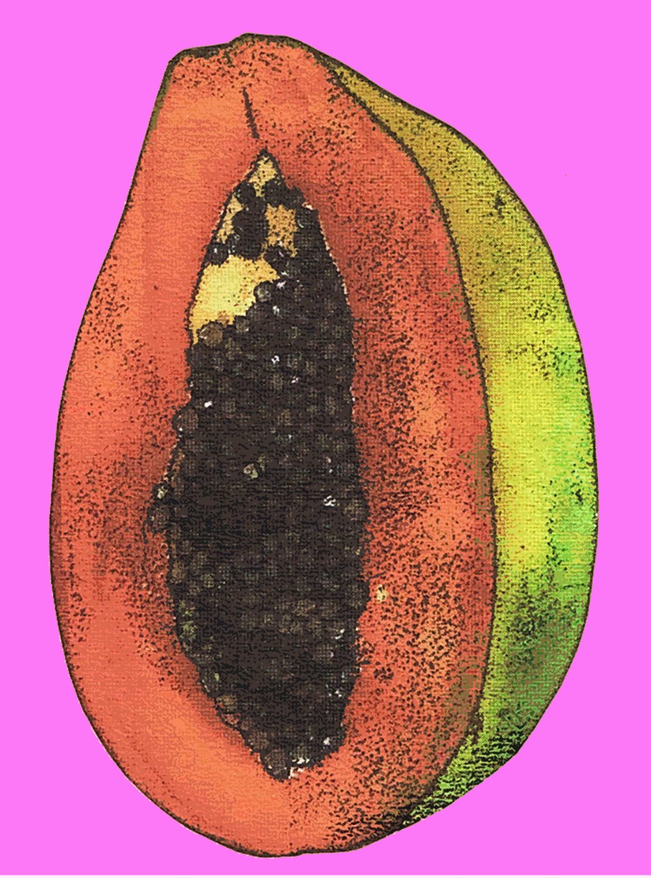 Papaja, 2009 (olej i tusz na papierze) autorstwa Sarah Thompson Engels
