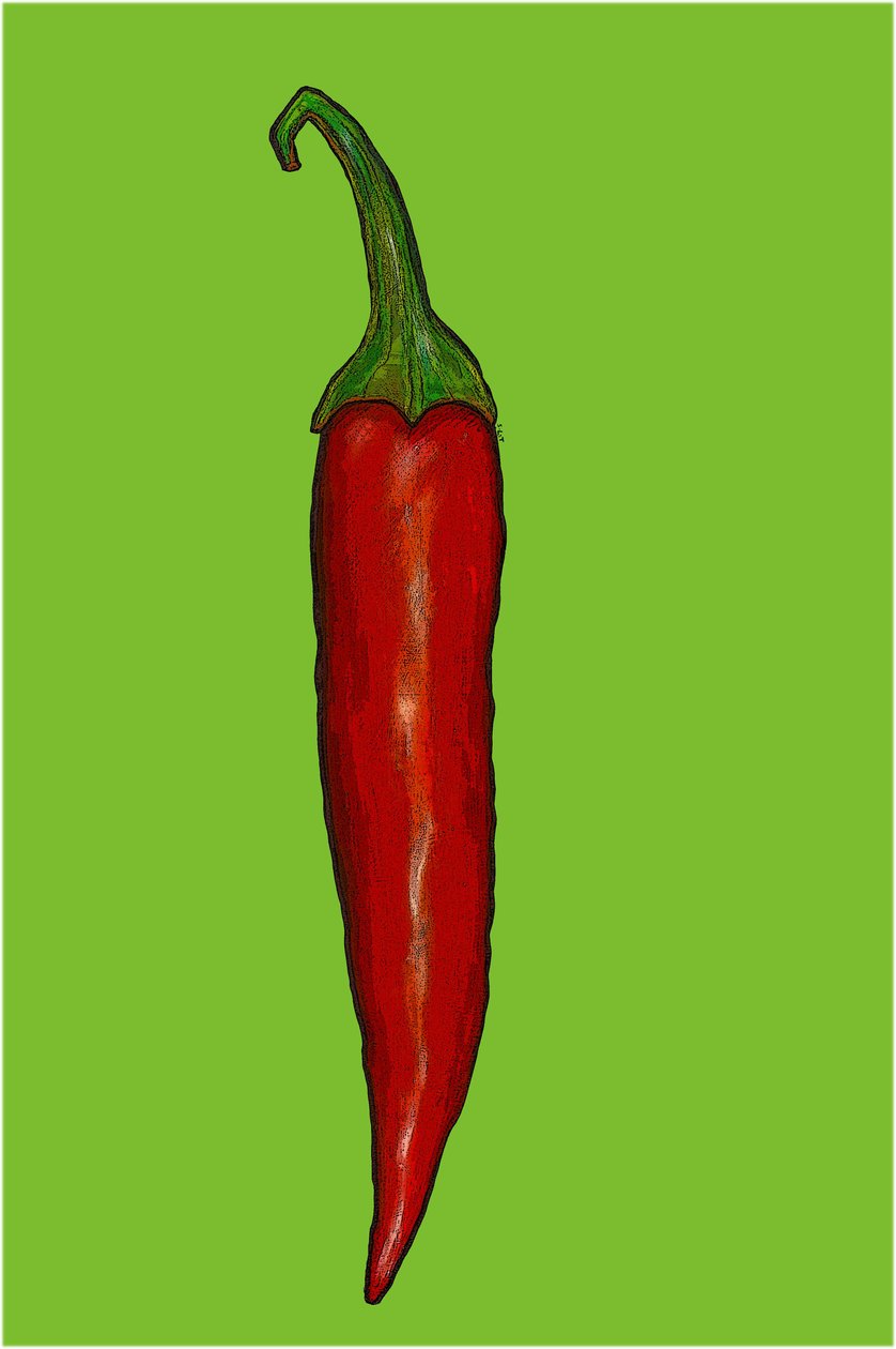 Czerwona ostra papryka chili autorstwa Sarah Thompson Engels
