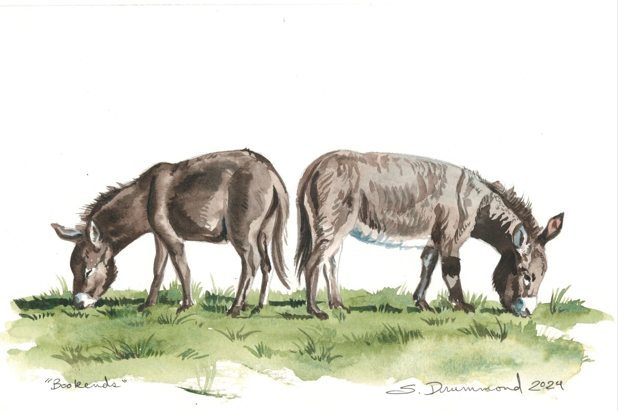 Bookends, 2024 (akwarela na papierze) autorstwa Sarah Drummond