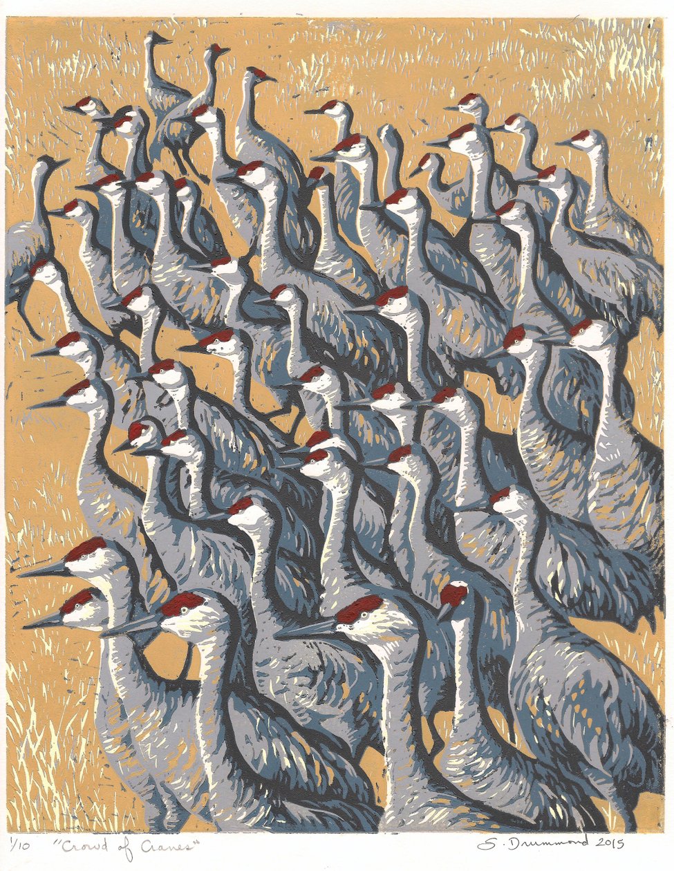 Tłum żurawi, 2015 (linoryt) autorstwa Sarah Drummond