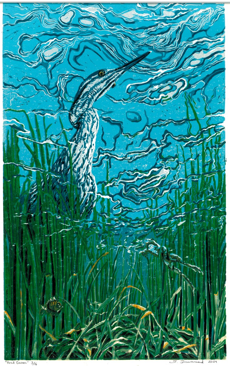 Pond Gazer, 2024 (linoryt) autorstwa Sarah Drummond
