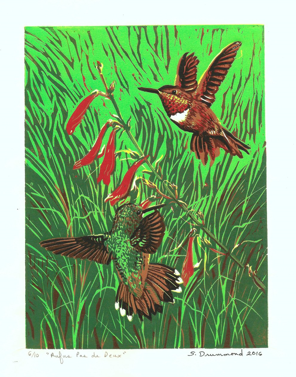Rufus Pas de Deux, 2016 (linoryt) autorstwa Sarah Drummond