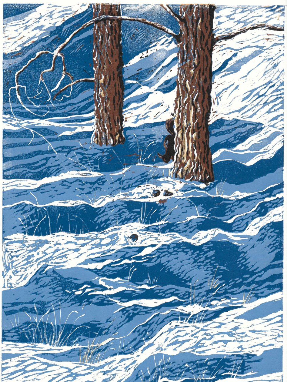 Wiosenne opady śniegu, 2016 (linoryt) autorstwa Sarah Drummond