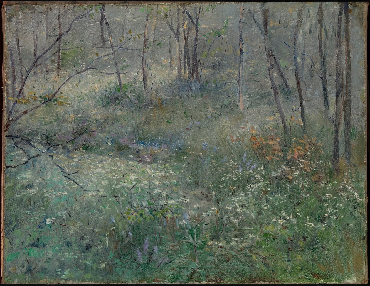 Dzika pietruszka autorstwa Sarah Paxton Ball Dodson