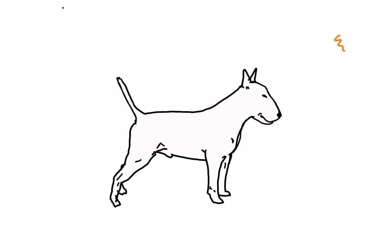 Bullterrier,2018,(rysunek cyfrowy) autorstwa Sarah Thompson Engels