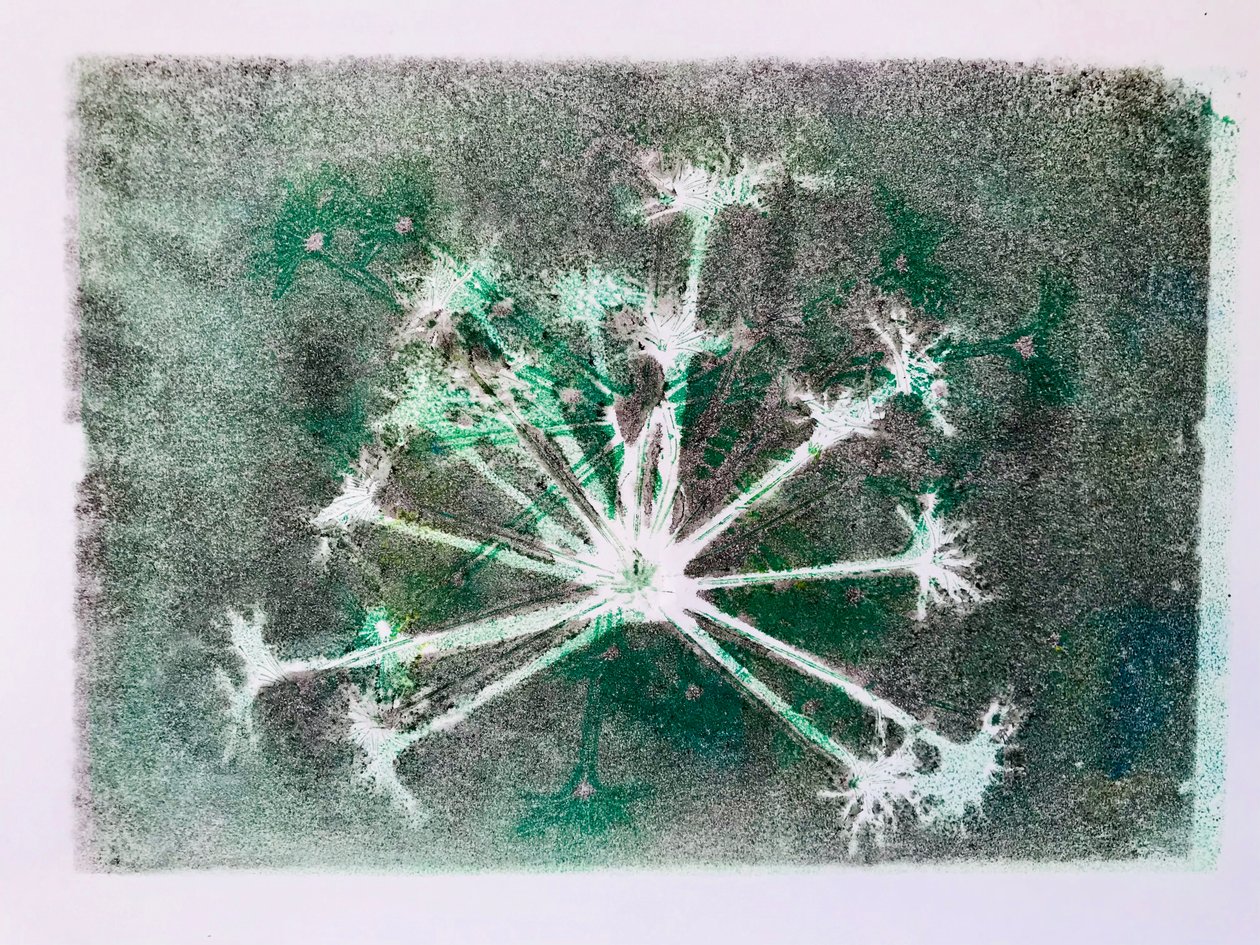 Seedhead I,2020,(monodruk) autorstwa Sarah Thompson Engels