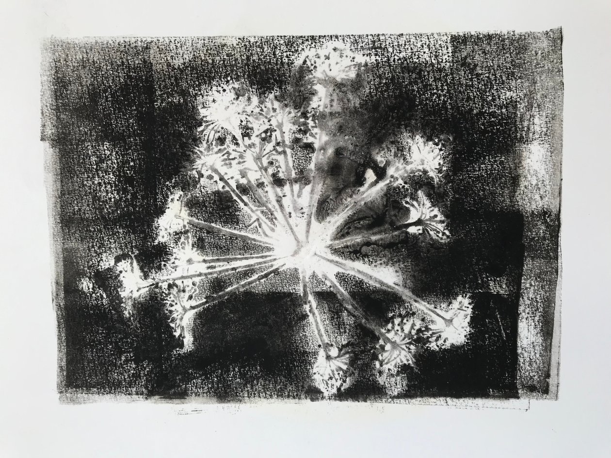 Sidhel E, 2020, (monodruk) autorstwa Sarah Thompson Engels