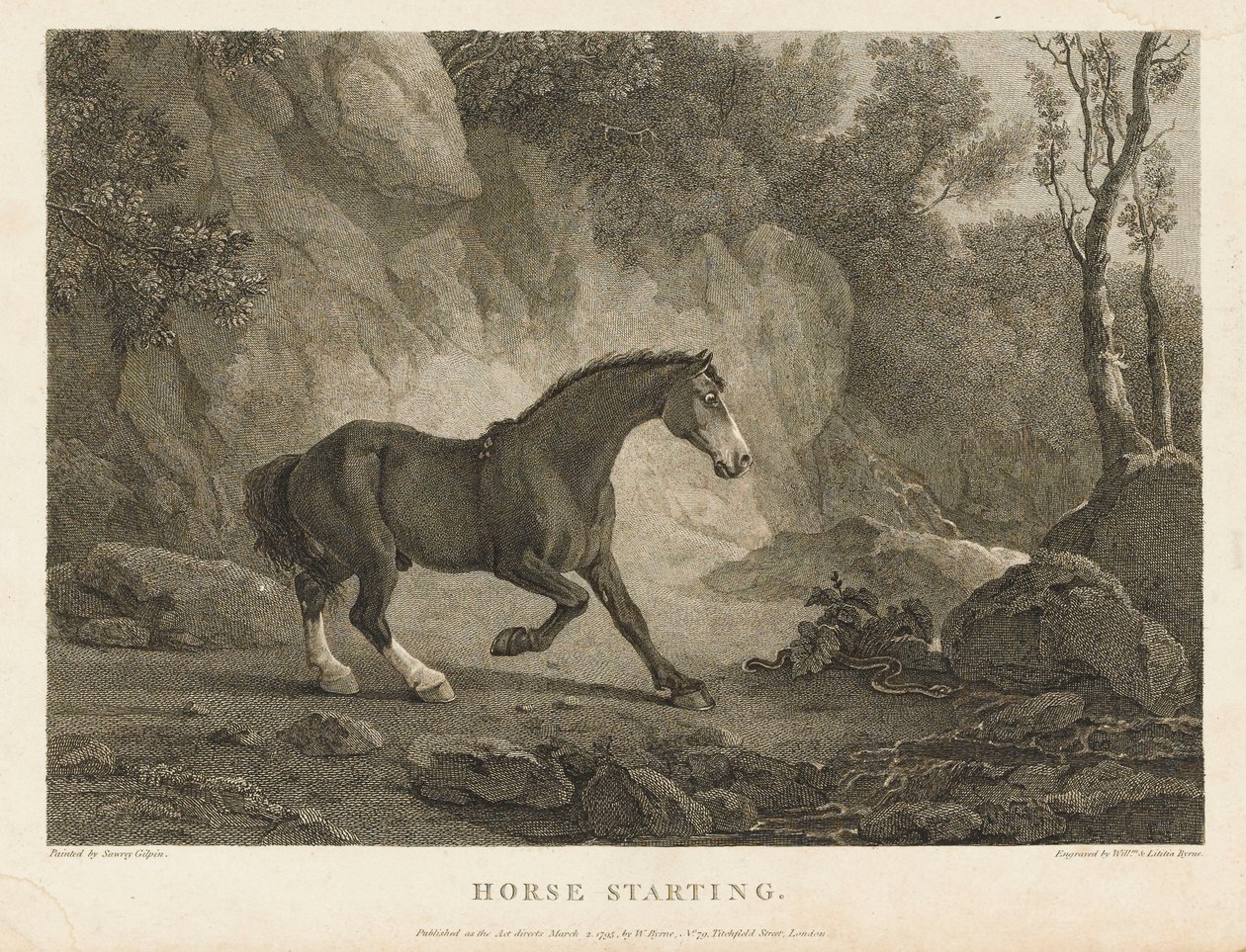 Start konia (akwaforta) autorstwa Sawrey (after) Gilpin