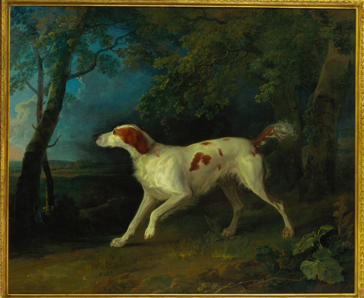 Seter brązowo-biały w zalesionym krajobrazie, 1773 autorstwa Sawrey Gilpin