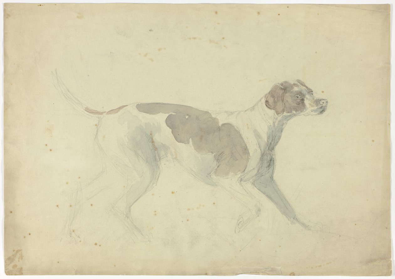 Fox Hound (recto); Szkice konia i jeźdźca (verso) autorstwa Sawrey Gilpin