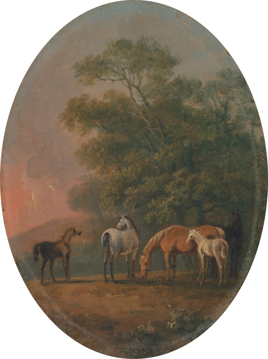 Klacze i źrebięta [1795, Royal Academy of Arts, Londyn, katalog wystawy] autorstwa Sawrey Gilpin