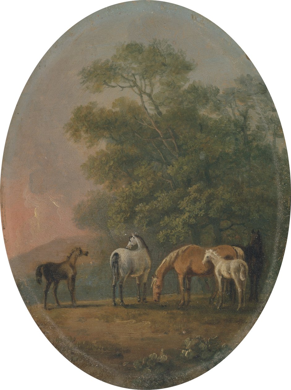 Klacze i źrebięta, ok. 1770-80 (olej na metalu) autorstwa Sawrey Gilpin
