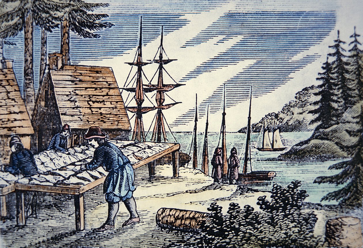 Rybacy suszący dorsza w Nowej Anglii, drzeworyt z XVII wieku (kolor lito) autorstwa School American