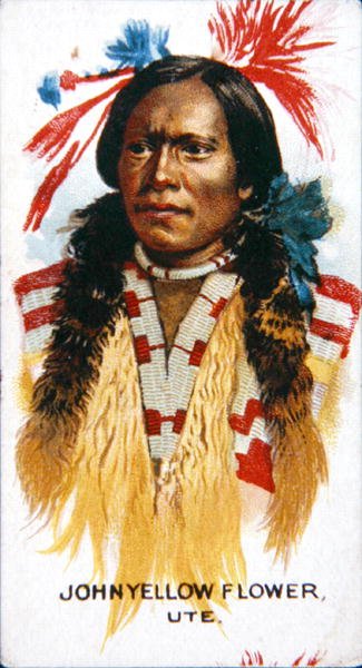 John Yellow Flower (kolor lito) autorstwa School American
