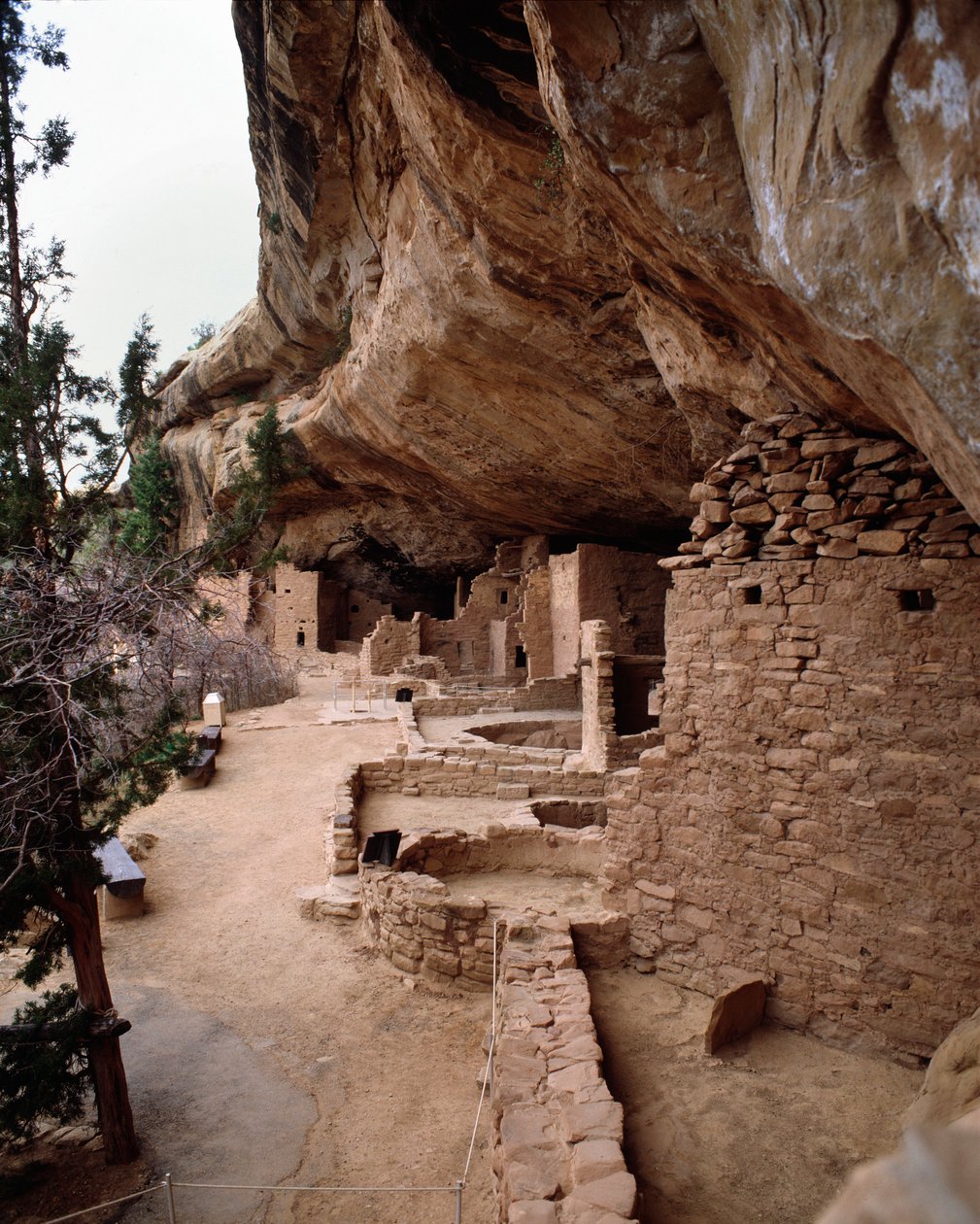 Widok na teren domku na drzewie świerkowym (1993, Fotografia) autorstwa School Anasazi