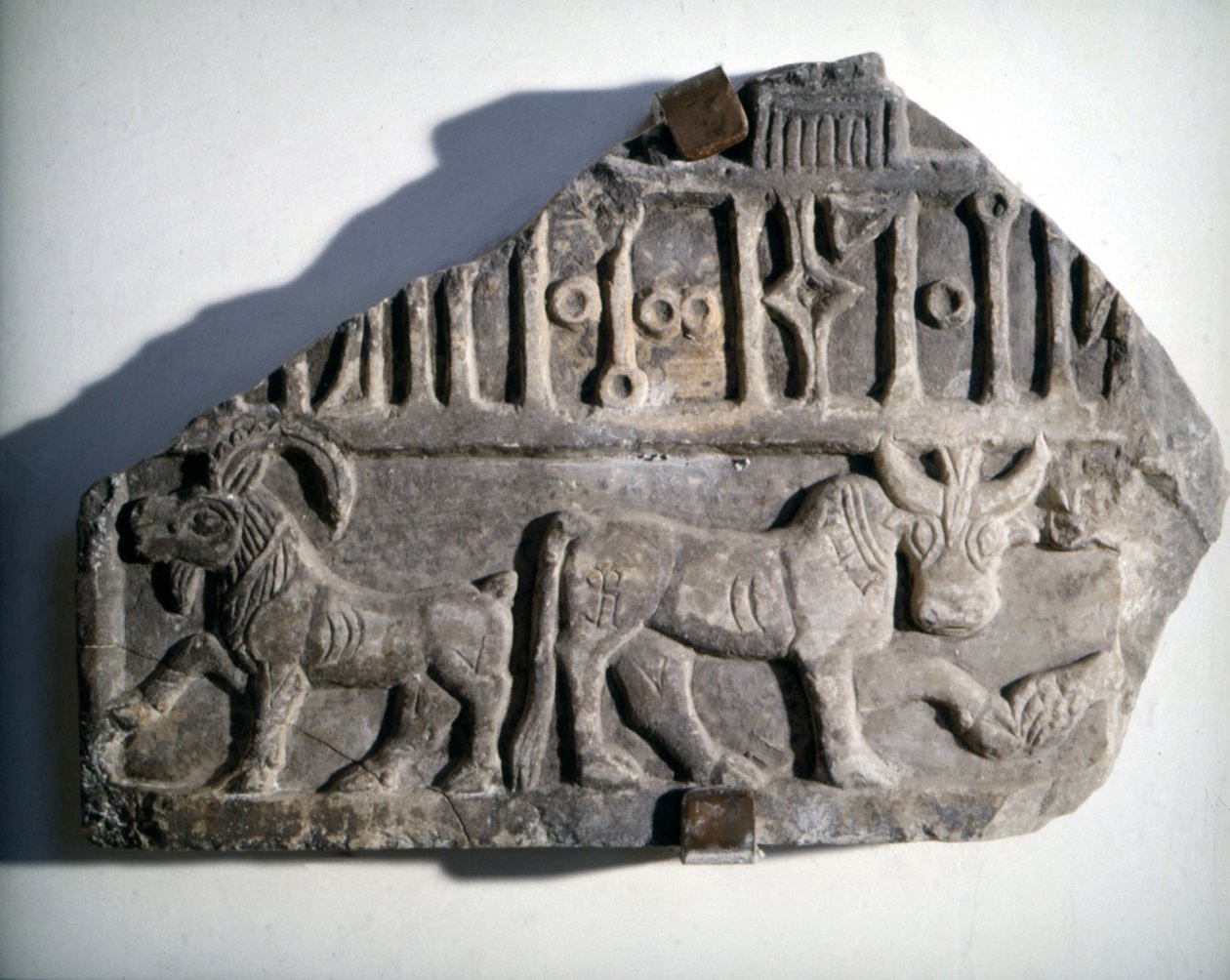 Sztuka południowoarabska: płaskorzeźba ze scenariuszem przedstawiającym zwierzęta. Museo Nazionale Romano, Rzym. autorstwa School Arabic