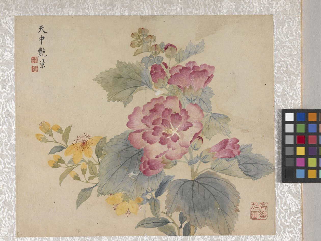 8-listkowy album z kwiatami, połowa XVIII wieku (tusz i kolor na papierze) autorstwa School Chinese
