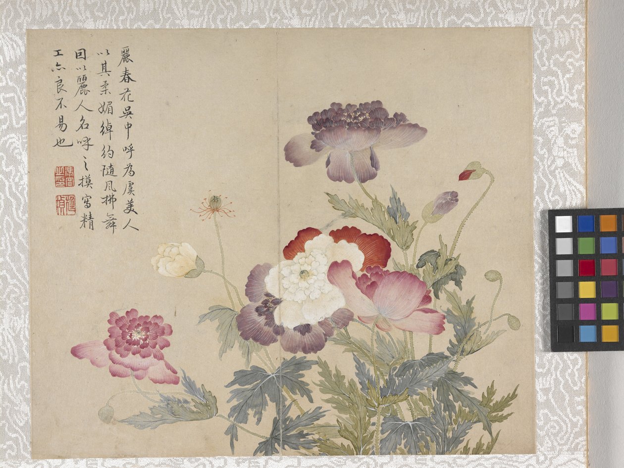 8-listkowy album z kwiatami, połowa XVIII wieku (tusz i kolor na papierze) autorstwa School Chinese