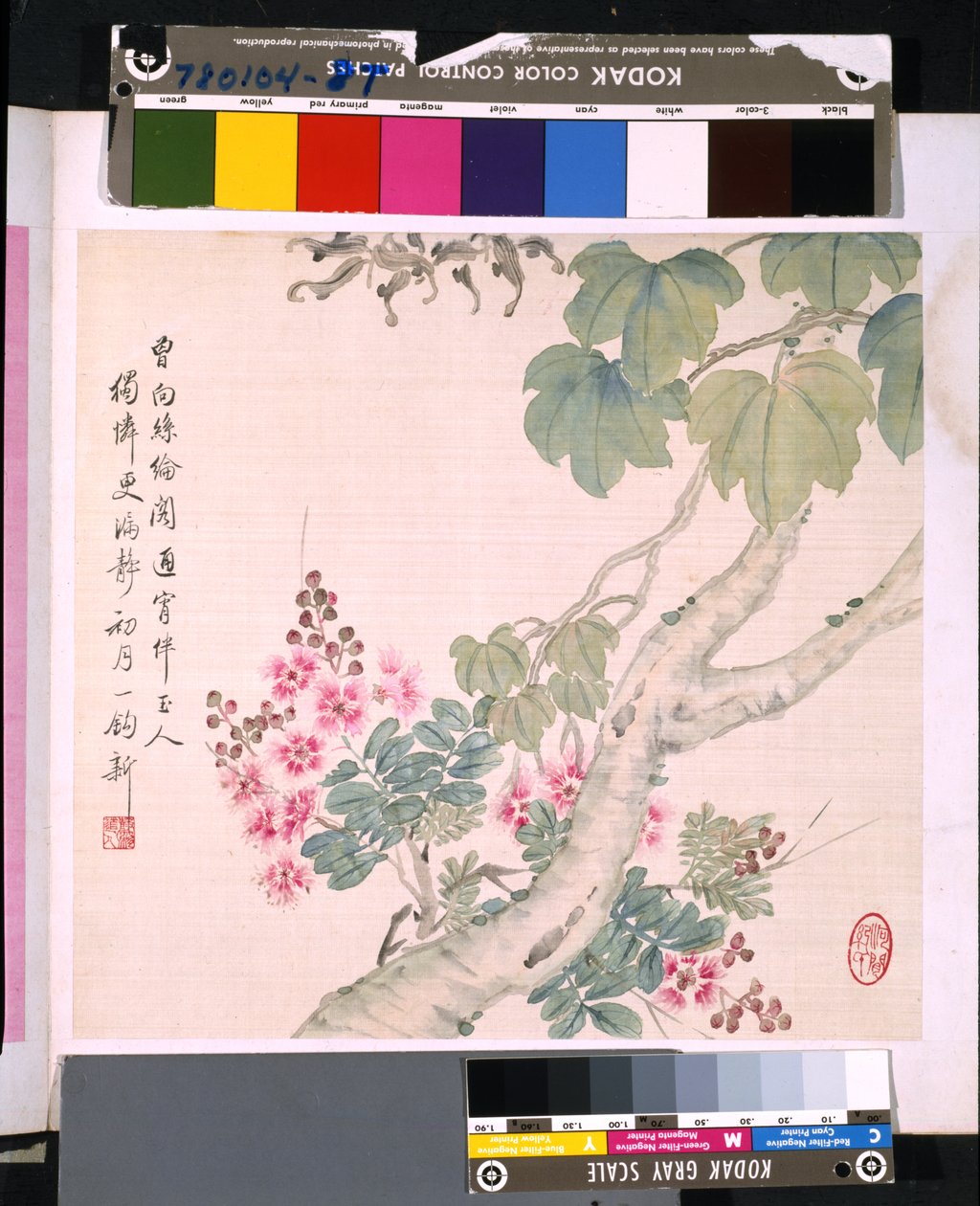 Album kwiatów i ptaków, data nieznana (tusz i kolor na jedwabiu) autorstwa School Chinese