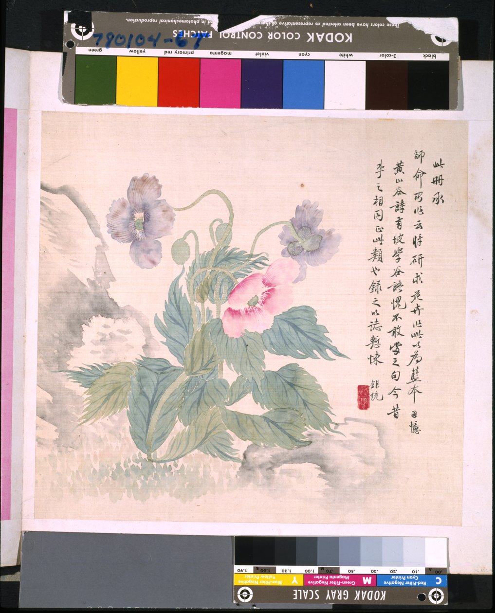 Album kwiatów i ptaków, data nieznana (tusz i kolor na jedwabiu) autorstwa School Chinese