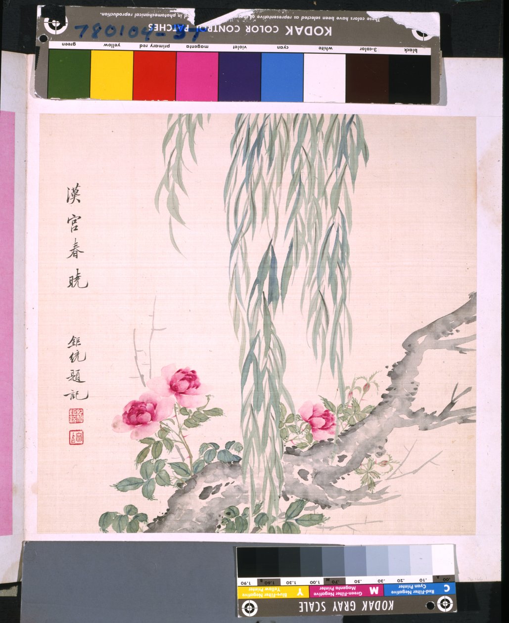 Album kwiatów i ptaków, data nieznana (tusz i kolor na jedwabiu) autorstwa School Chinese
