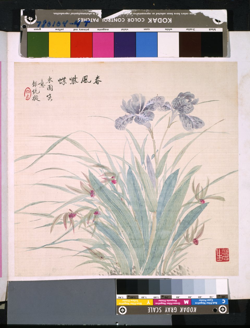 Album kwiatów i ptaków, data nieznana (tusz i kolor na jedwabiu) autorstwa School Chinese
