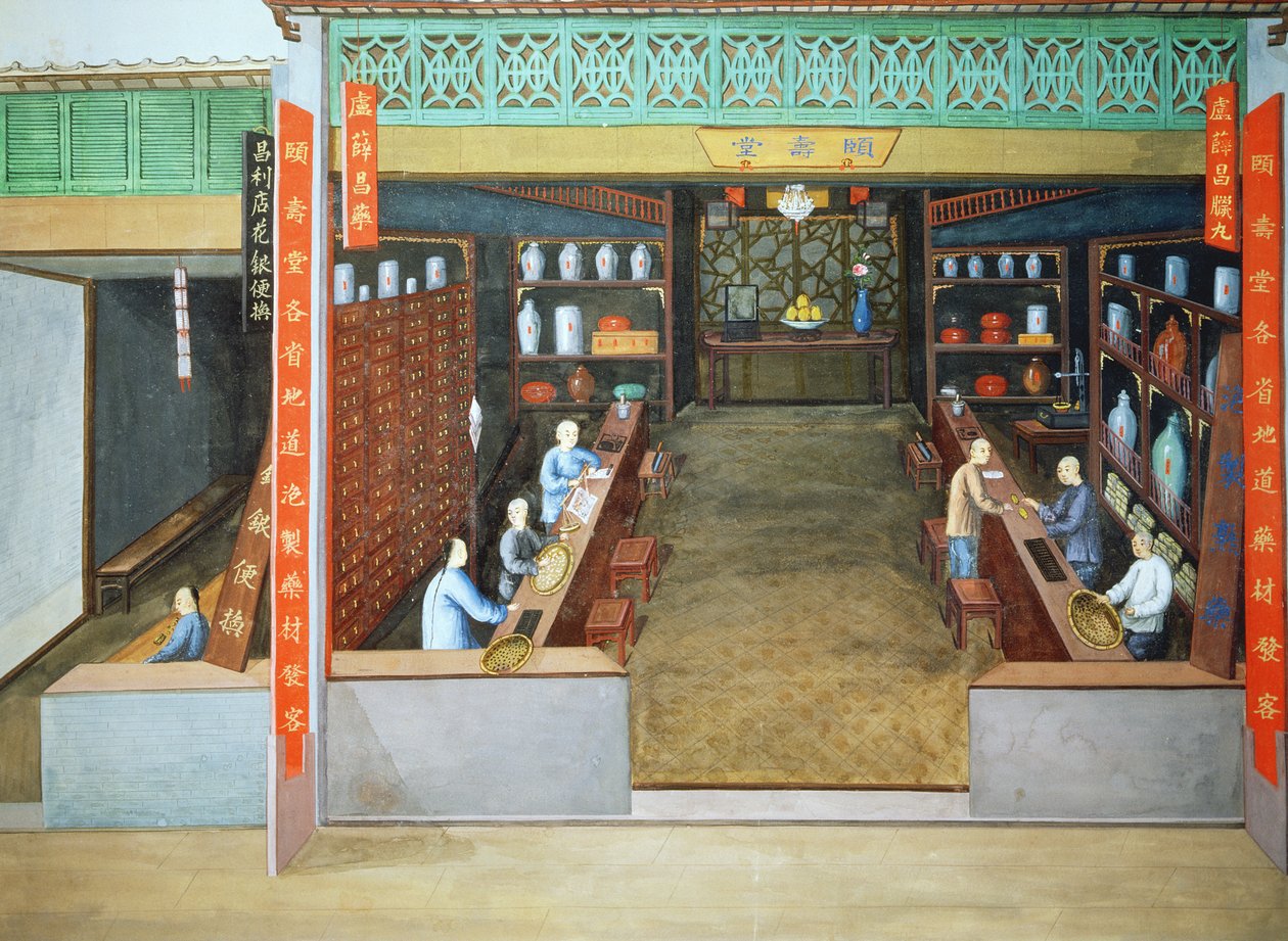 Medycyna chińska, ok. 1830 (gwasz na papierze) autorstwa School Chinese