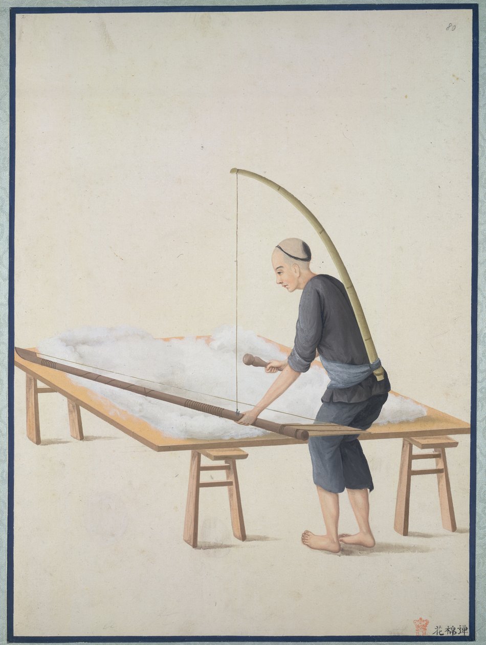 Bawełna puszysta, na kołdry, ok. 1800 (akwarela na papierze) autorstwa School Chinese
