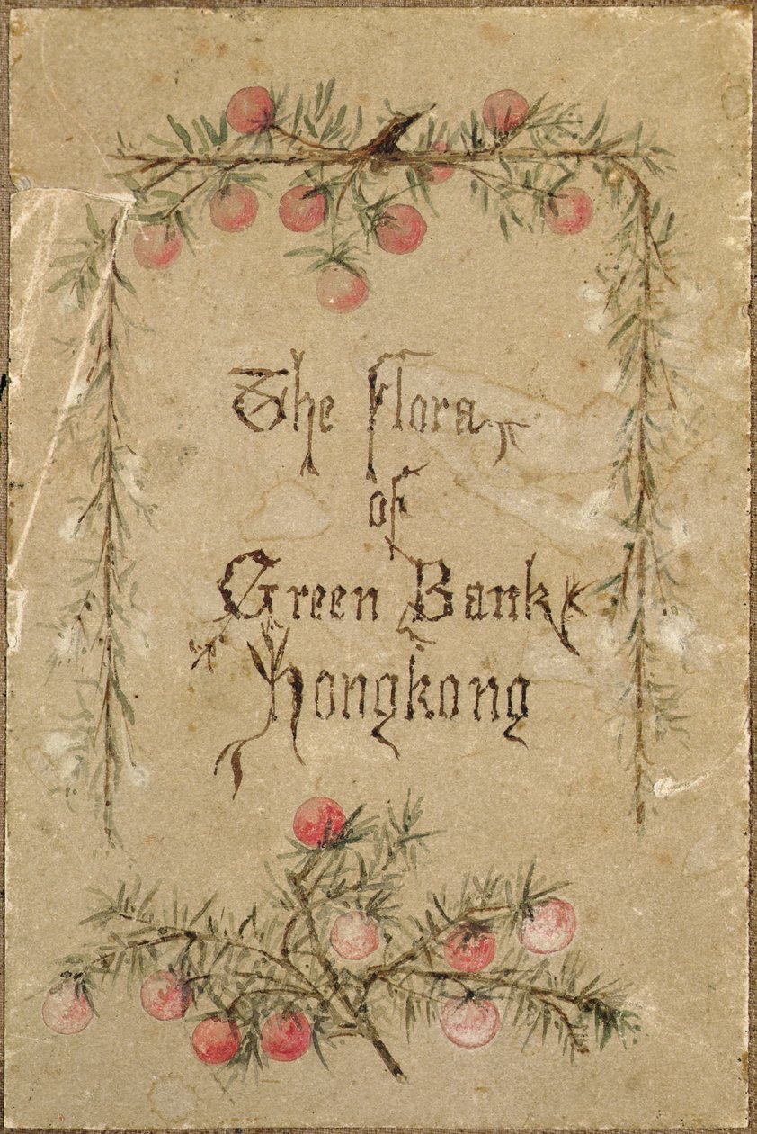  autorstwa School Chinese