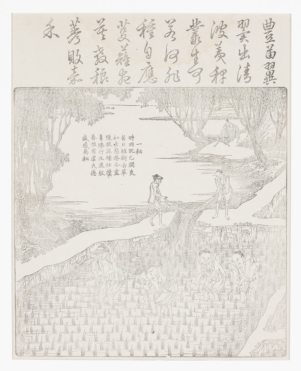 Nawadnianie ryżu autorstwa School Chinese