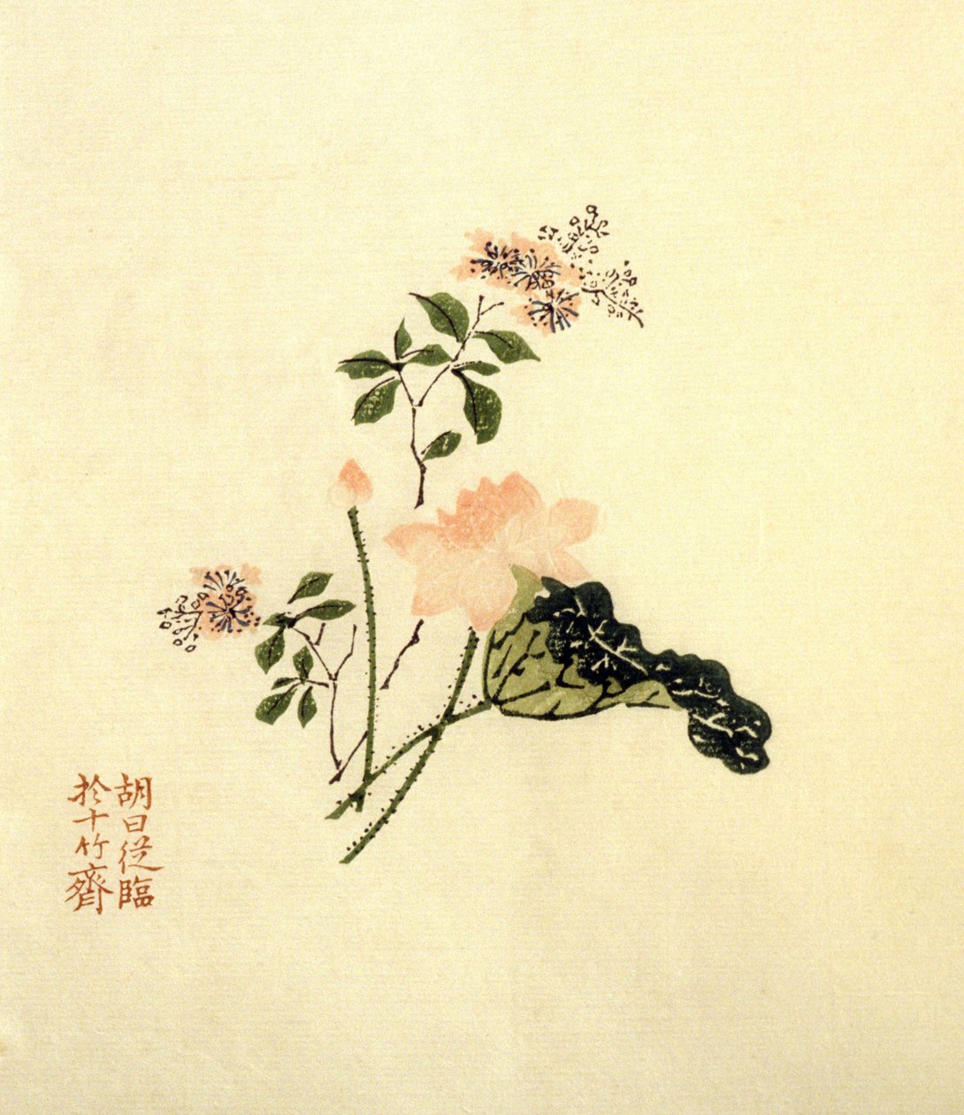 Kwiat lotosu - tusz na papierze, ChineLotus Kwiat - tusz na papierze, Chiny autorstwa School Chinese